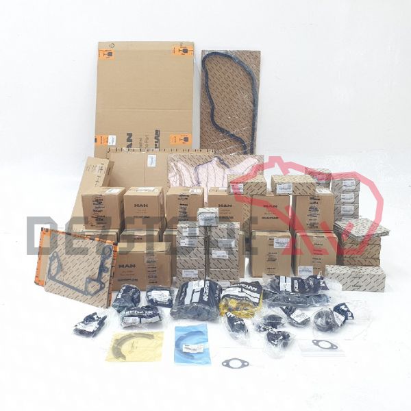 Set motor MAN TGX Euro 6