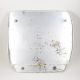 Ornament catalizator DAF XG