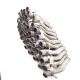 Lot 50 bucati teava esapament MAN TGX Euro 6