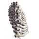 Lot 50 bucati teava esapament MAN TGX Euro 6