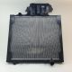 Radiator apa MAN TGS 3