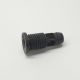Surub golire radiator apa MAN TGX