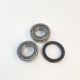 Set rulment roata axa fata SKF